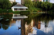 新虹桥中心绿地 新虹桥中心绿地