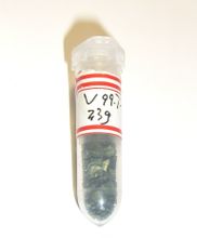 钒 钒