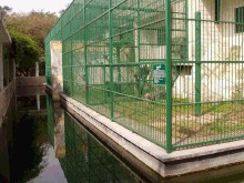 猩猩馆外展区 猩猩馆外展区